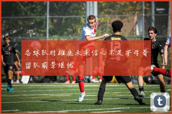 各球队对雄鹿未来信心不足字母哥留队前景堪忧